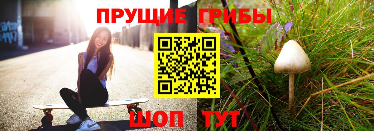 Галлюциногенные грибы мицелий Асино